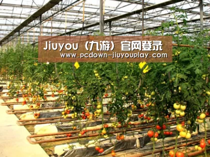 种植基地二