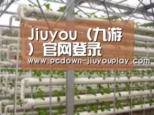 环境展示六