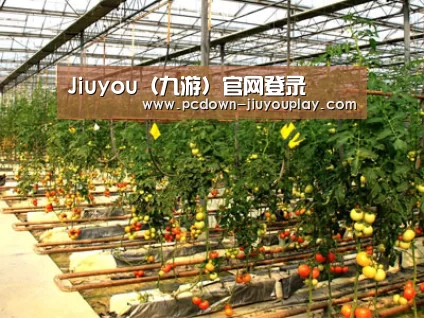 种植基地二(图1)