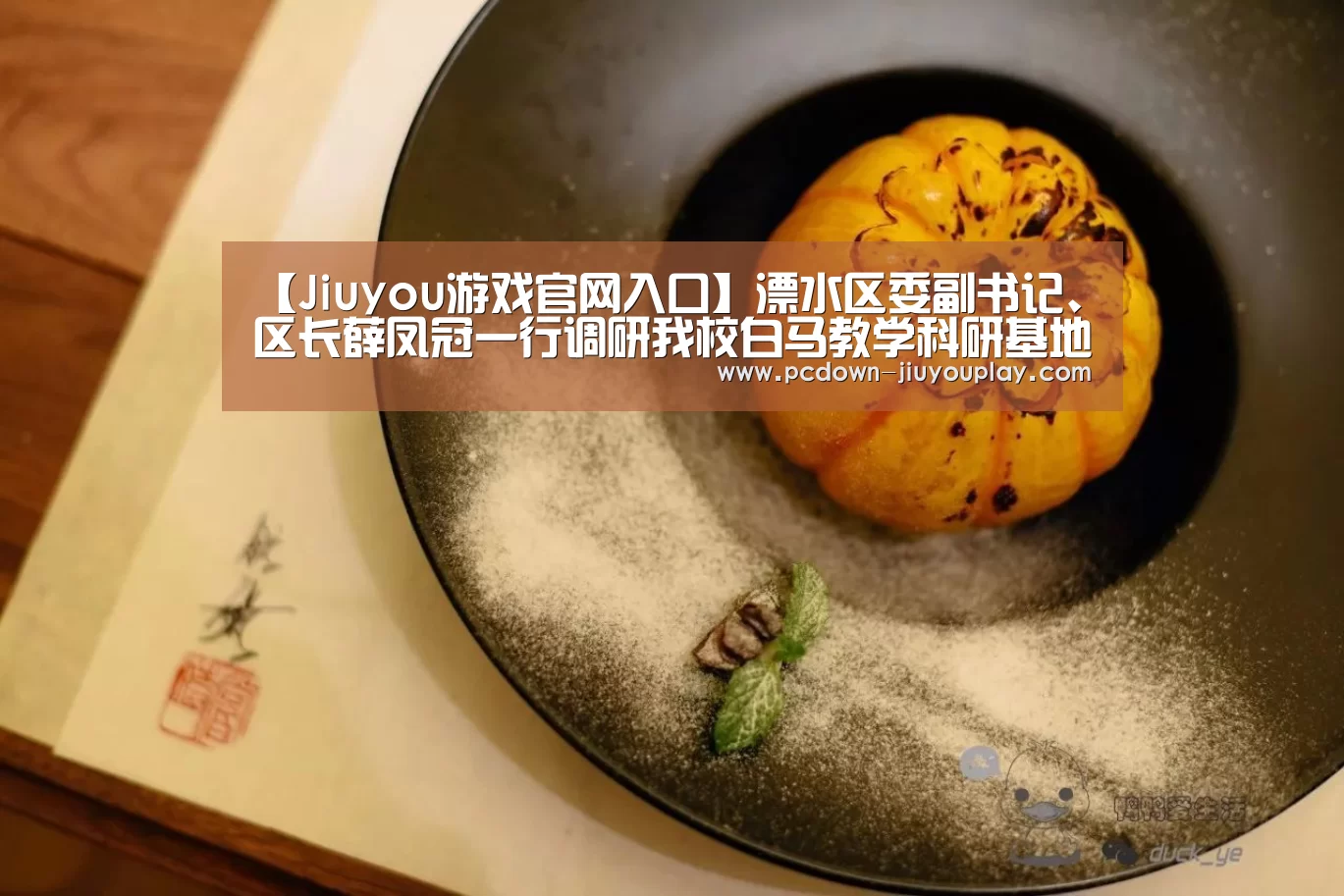 Jiuyou游戏官网入口