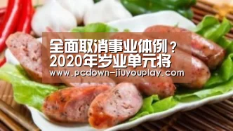 全面取消事业体例?2020年岁业单元将如何革新【九游体育】(图1)
全面取消事业体例?2020年岁业单元将如何革新【九游体育】(图1)