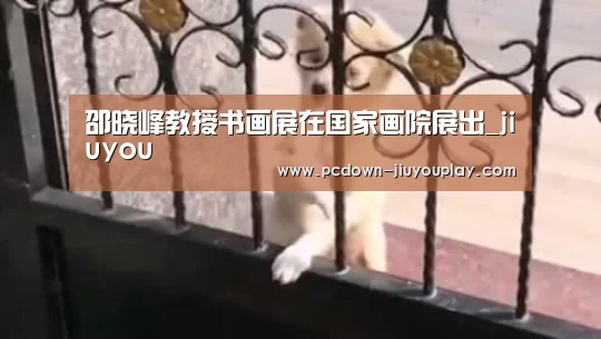 Jiuyou游戏官网入口